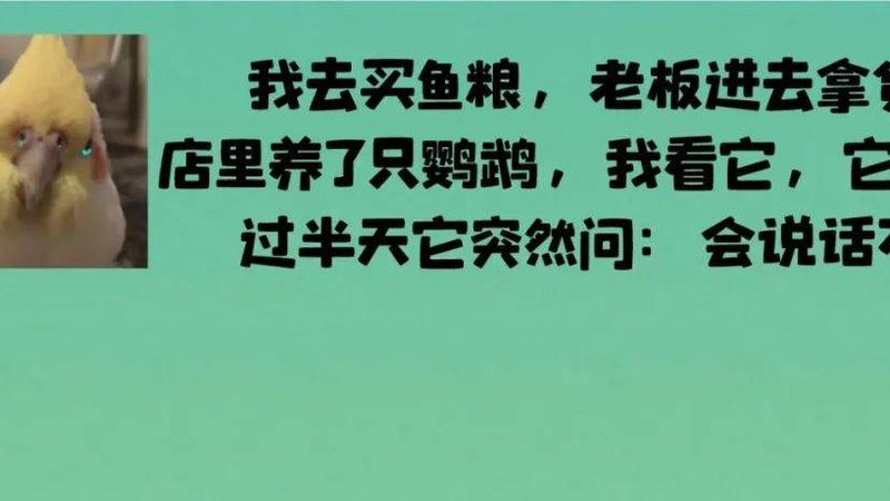 办公室零食新宠：揭秘适合工作的坚果炒货